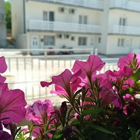 Apartmani Andela Neum Exterior photo
