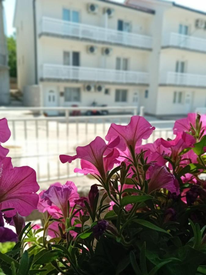 Apartment Andela