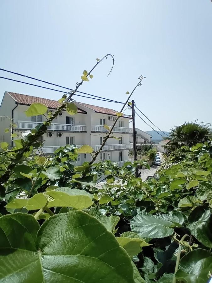 Andela Neum